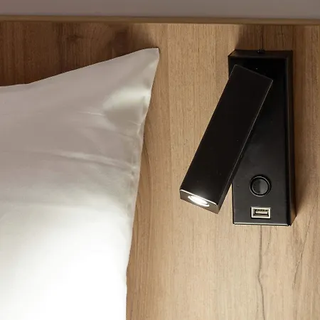 Ibis Centre Gare Lourdes